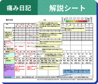 解説シート